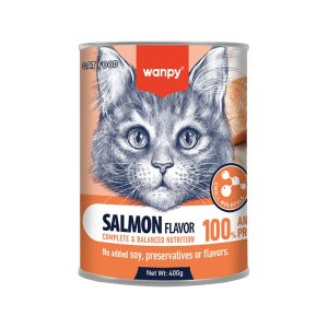 کنسرو غذای گربه ونپی با طعم سالمون Wanpy Complete & Balanced وزن 400 گرم